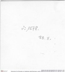 Historisches Foto (Rückseite) von Galatheites melleri Bachmayer, unpubl. (NHMW-AFW-GEO-BACHMAYER-FOTO-1990-0041-1578)
